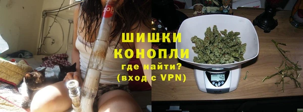 гашик Краснослободск