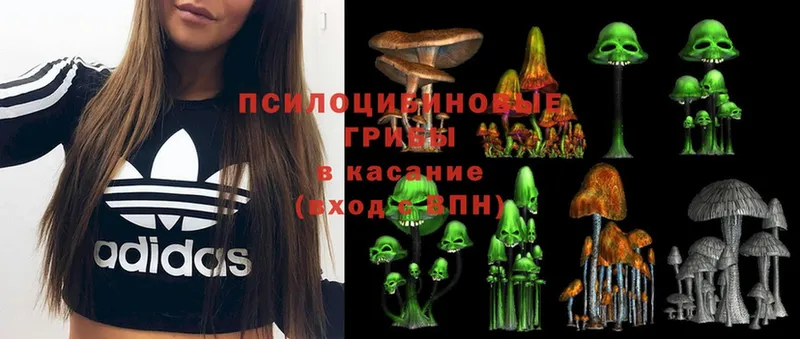 закладки  Улан-Удэ  Галлюциногенные грибы Psilocybe 