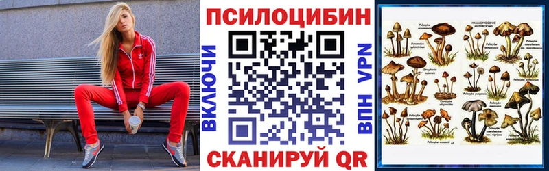 Галлюциногенные грибы мухоморы  купить наркотик  Улан-Удэ 