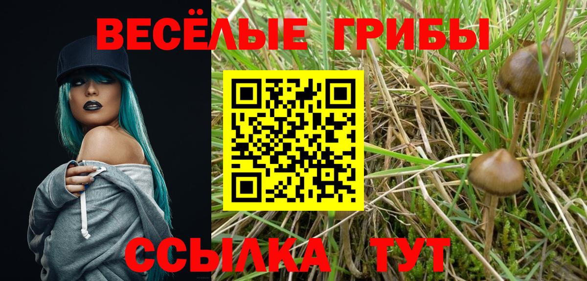 Псилоцибиновые грибы мухоморы  Вход с VPN  Улан-Удэ 